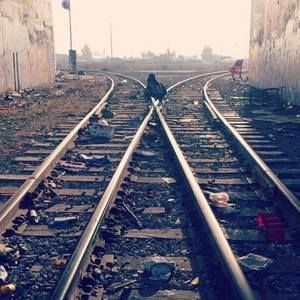 Meet your Posher, Frankie